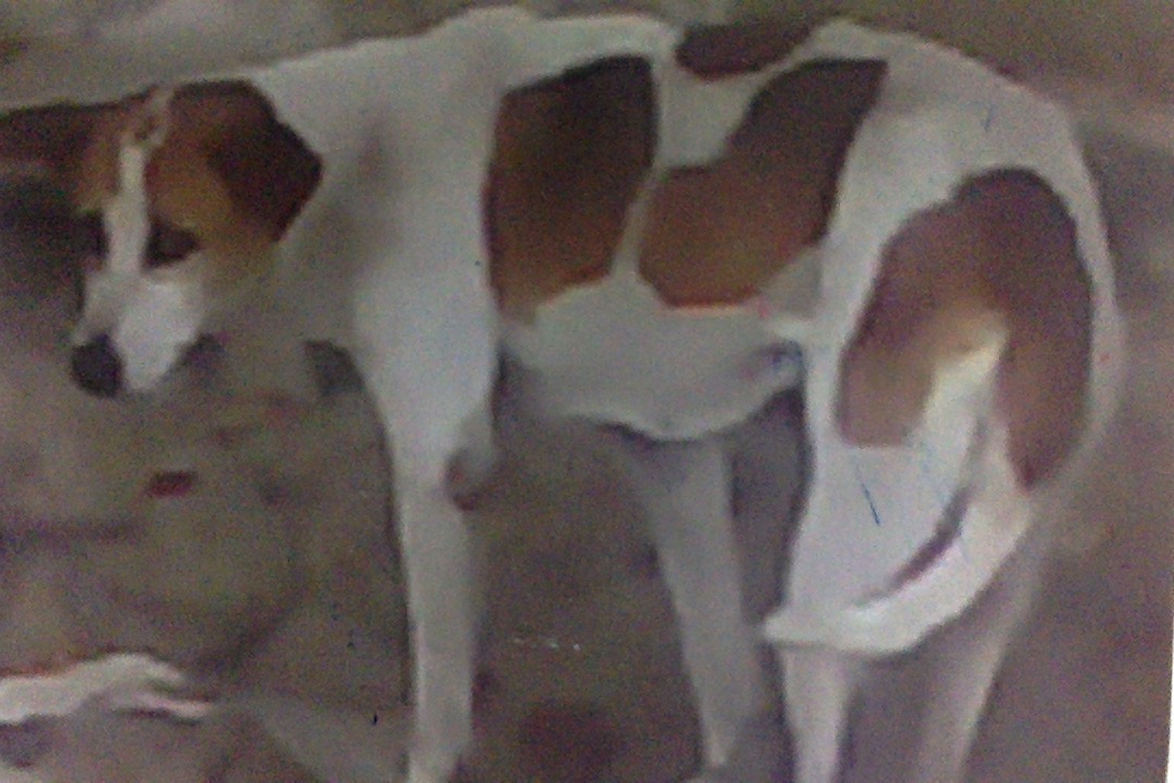 Photo on 22-12-17 at 6.53 PM.jpg