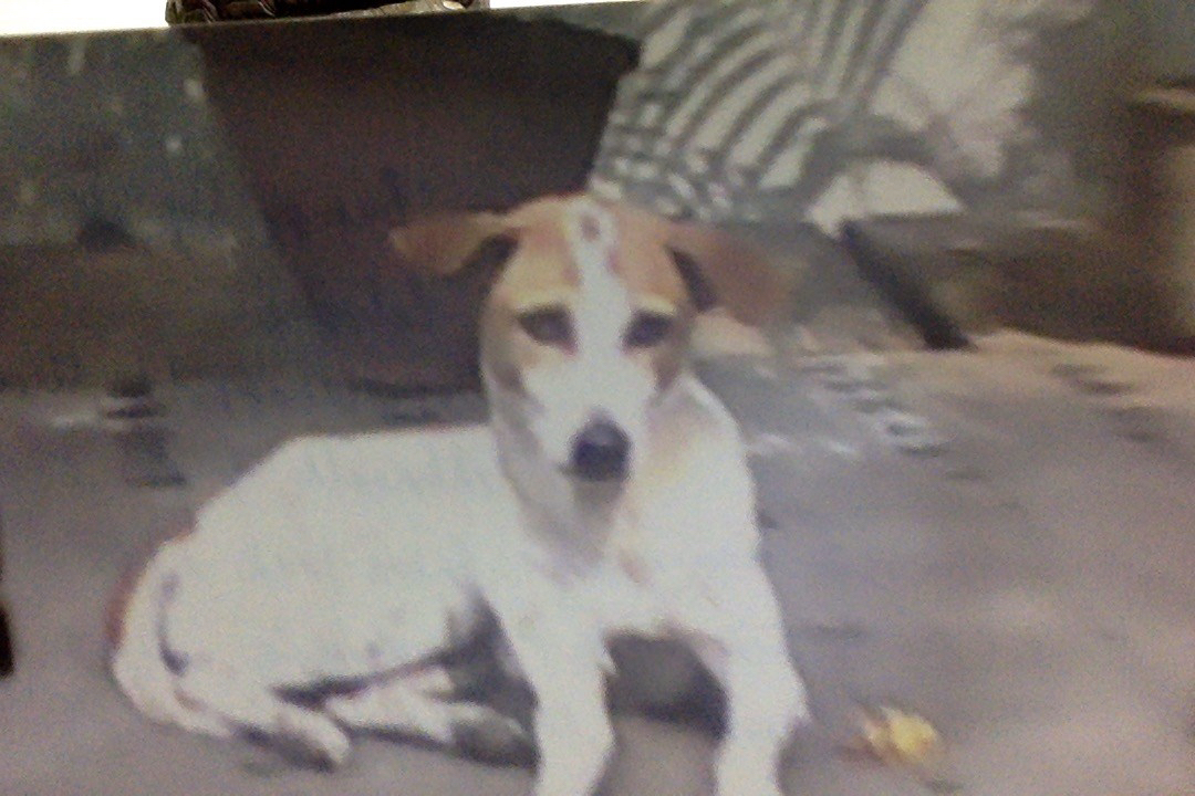 Photo on 22-12-17 at 6.54 PM